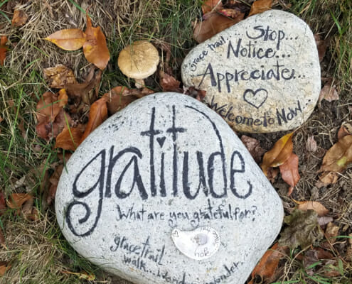 Gratitude and Sobriety Go Hand in Hand